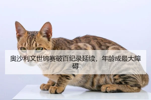 奥沙利文世锦赛破百纪录延续，年龄成最大障碍