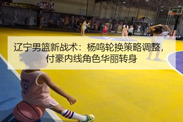 liao-ning-nan-lan-xin-zhan-shu-yang-ming-lun-huan-ce-lve-tiao-zheng-fu-hao-nei-xian-jue-se-hua-li-zhuan-shen-2-835.jpg